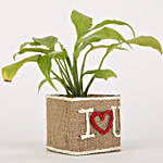 Peace Lily Jute Wrapped I Love You Vase