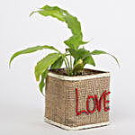 Set of 3 I Love Your Green Plants
