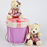 Teddy Bears in Pretty Dark Pink Box