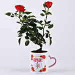 Rose Plant In White Ceramic Mug
