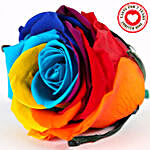 Forever Rainbow Rose in Black Velvet Box