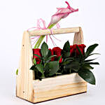 Graceful Basket of Roses
