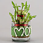 2 Layer Lucky Bamboo For Mom