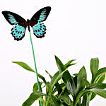 2 Layer Bamboo Plant With Butterfly
