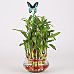 3 Layer Bamboo Plant With Butterfly