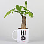 Pachira Plant In Personalised Hi Maa Mug