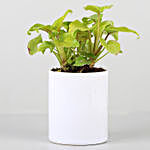 Xanadu Plant In Personalised Pot For Mummy
