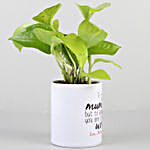 Money Plant In Printed Pot For Mom