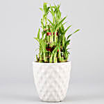 3 Layer Bamboo In White Designer Ceramic Pot