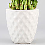 3 Layer Bamboo In White Designer Ceramic Pot