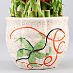 3 Layer Bamboo Plant In Printed Ceramic Pot