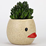 Echeveria Plant In Artistic Ceramic Pot