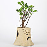 Ficus I Shaped Bonsai Plant In Ceramic Pot
