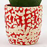 Love Hoya Plant In Artistic Red Ceramic Pot
