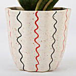 MILT Sansevieria Plant In Designer Ceramic Pot