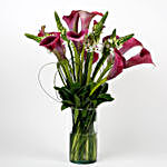 12 Exotic Peregrine Purple Calla Lilies 9 White Ornithogalum in Glass Vase