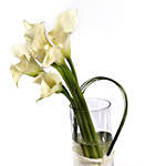 White Calla Lilies in Vase