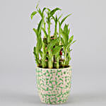2 Layer Bamboo Plant In Green Ceramic Pot