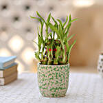 2 Layer Bamboo Plant In Green Ceramic Pot