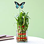 2 Layer Bamboo Plant With Butterfly