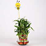 3 Layer Bamboo Plant With Honey Bee
