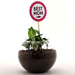 Classy Syngonium Plant Terrarium For Mom