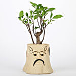 Ficus I Shaped Bonsai Plant In Ceramic Pot