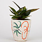 Philodendron Red Plant In Ceramic Pot