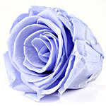 Lavender Blue Forever Rose In Velvet Box