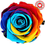 Mystic Rainbow- Forever Rose in Velvet Box