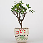 Ficus I Shaped Bonsai In Ceramic Pot