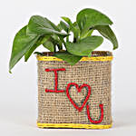 Money Plant In I Love You Vase