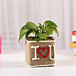 Money Plant In Jute Wrapped I Love You Vase