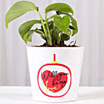 Money Plant With Will You Be My Love Pot