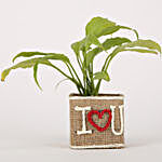 Peace Lily Jute Wrapped I Love You Vase
