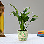 Peace Lily Plant In Green Ceramic Pot