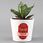 Snakeskin Sansevieria Plant In Love Ceramic Pot