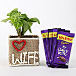 Syngonium Plant in Love Wife Vase With Dairy Milk Chocolates