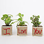 Set of 3 I Love Your Green Plants