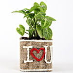 Syngonium Plant in Jute Wrapped I Love You Vase