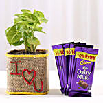 Syngonium Plant in I Love You Vase & Dairy Milk