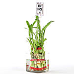 2 Layer Bamboo Plant For Dadu