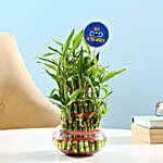 3 Layer Bamboo Plant For Dad
