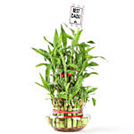 3 Layer Bamboo Plant For Dadu