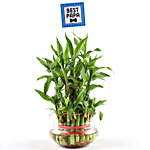 3 Layer Bamboo Plant For Papa