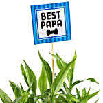 3 Layer Bamboo Plant For Papa