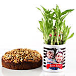 Dry Cake & Bamboo Plant In Photo Mug For Dad