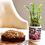 Dry Cake & Bamboo Plant In Photo Mug For Dad