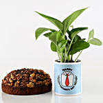 Father's Day Dry Cake & Money Plant Combo