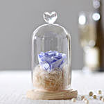 Forever  Lavender Blue Rose In Glass Dome